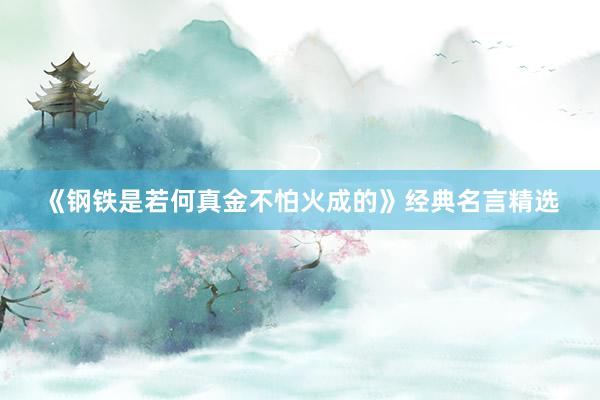 《钢铁是若何真金不怕火成的》经典名言精选