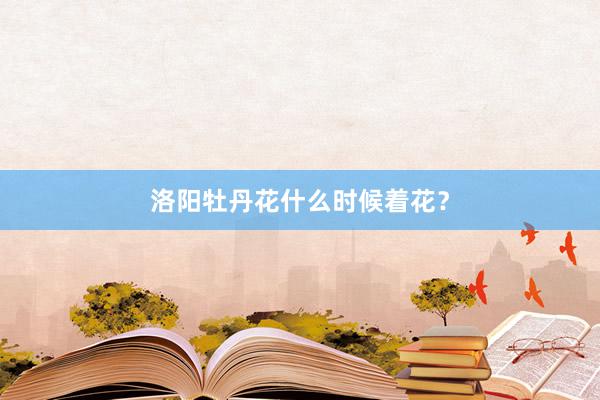 洛阳牡丹花什么时候着花？