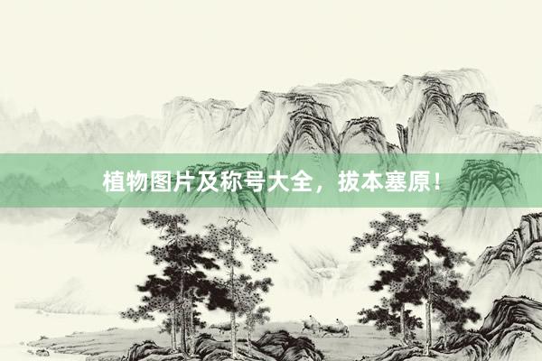 植物图片及称号大全，拔本塞原！